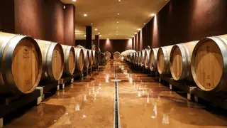 Degustación de Vinos del Lago di Garda — Lago di Garda
