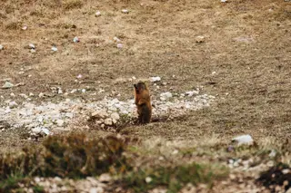 Fin de semana en Lessinia: Cima Carega, el techo de las Piccole Dolomiti - 2 días
