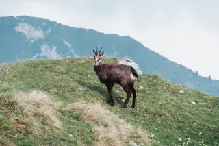 Fin de semana en Lessinia: Cima Carega, el techo de las Piccole Dolomiti - 2 días